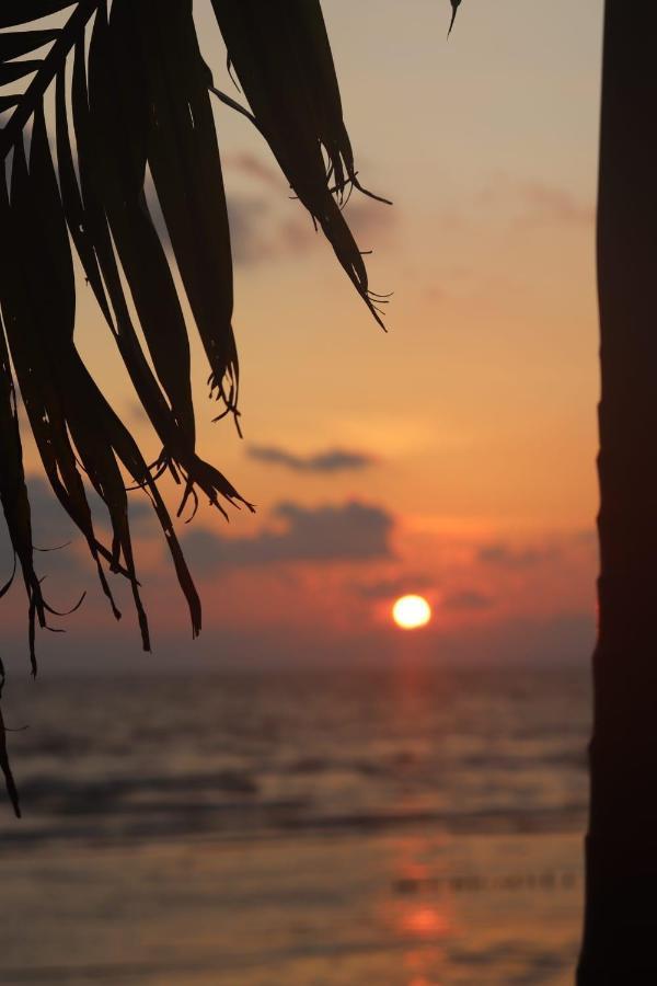 Young Wild And Free Koh Kong Bagian luar foto
